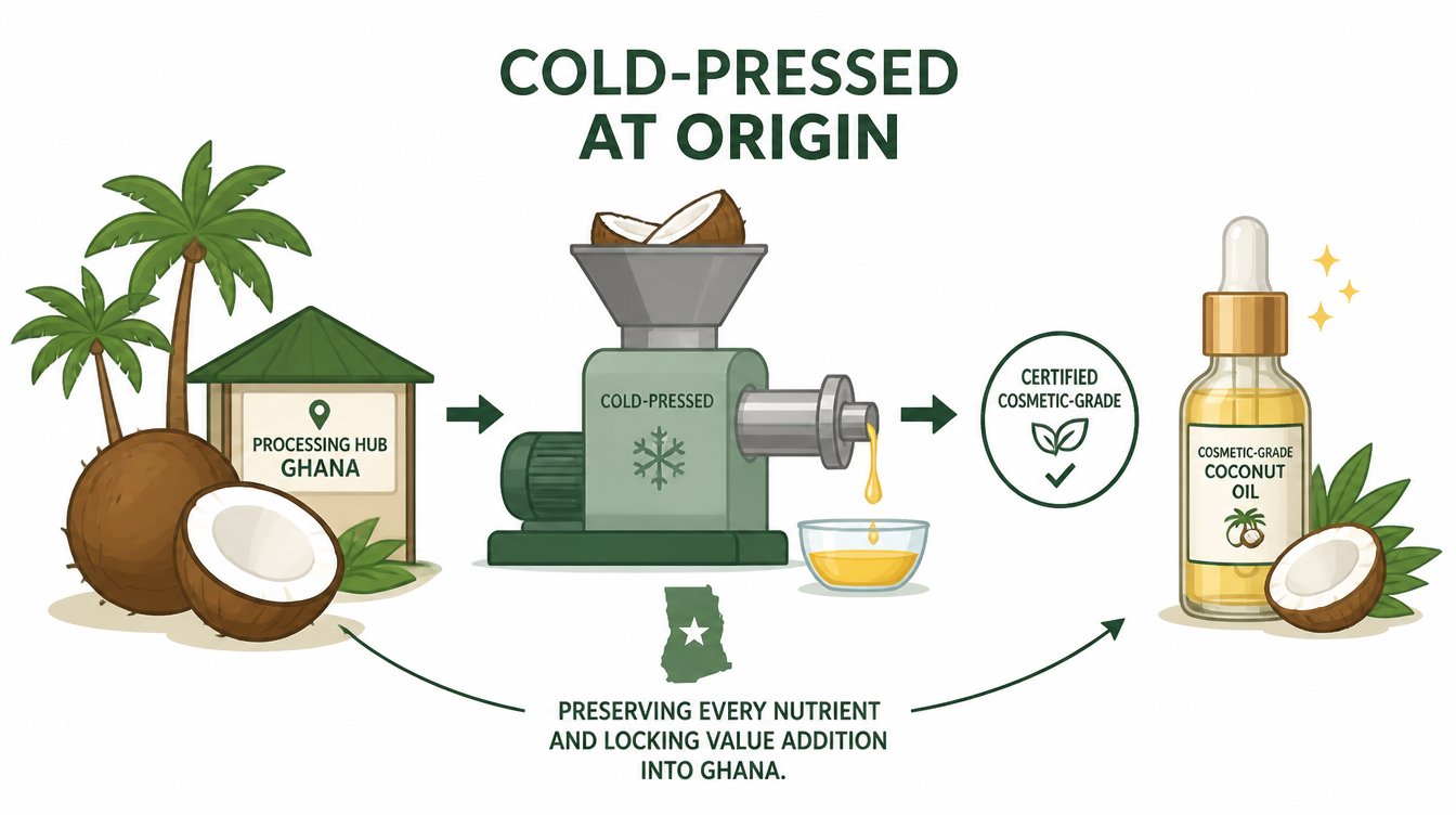 Illustration: a cold-press machine at a Ghana processing hub turning coconuts into certified cosmetic-grade oil
